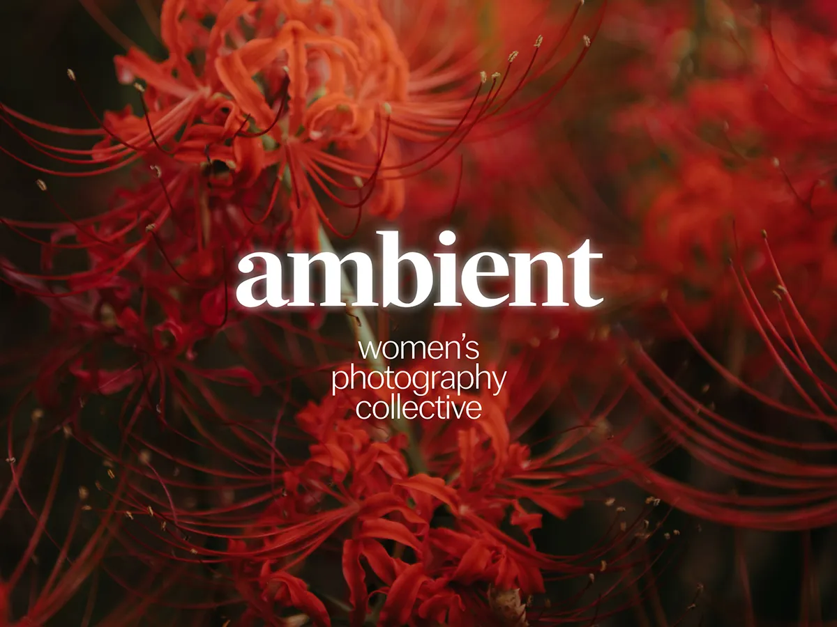 Ambient Women's Photography Collective